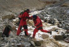 agua sustentabilidad vicuña