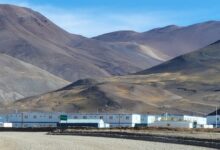 vicuña trabajadores chilenos agua argentina