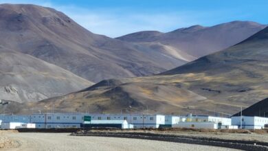 vicuña trabajadores chilenos agua argentina