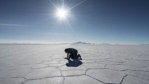 complica litio bolivia