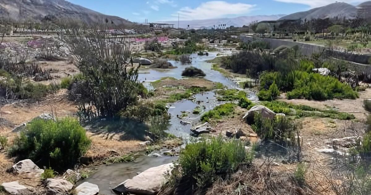 cuestionamientos lundin canderlaria socavon chile agua