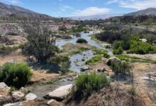 cuestionamientos lundin canderlaria socavon chile agua
