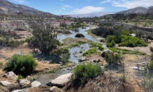 cuestionamientos lundin canderlaria socavon chile agua