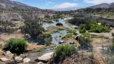 cuestionamientos lundin canderlaria socavon chile agua