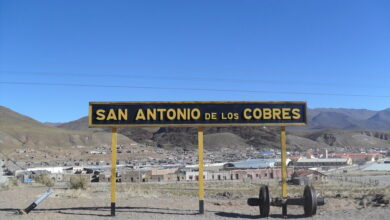 intendente salta mano de obra proveedores locales