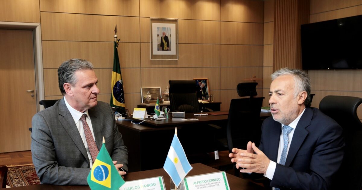 cornejo potasio brasil mendoza confiable