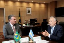 cornejo potasio brasil mendoza confiable