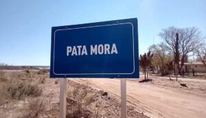 mendoza polo logístico minero