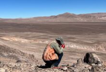 tiene proyecto en san juan compra minera lider cobre sudamerica